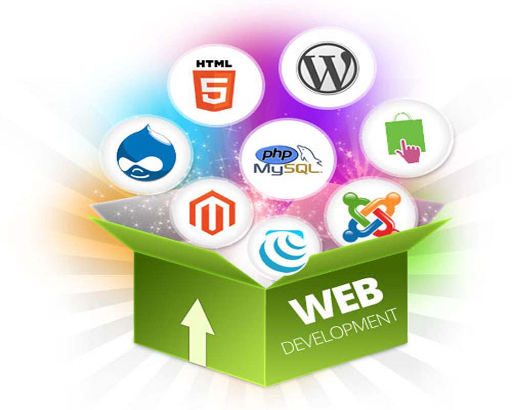 Website Designing Company in Karkardooma